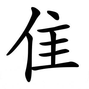 bộ thủ truy