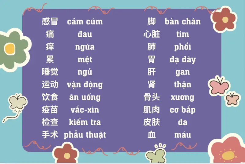 Từ vựng tiếng Trung về sức khỏe