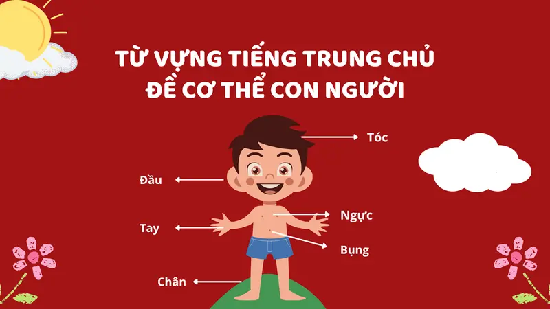 tiếng Trung chủ đề cơ thể con người