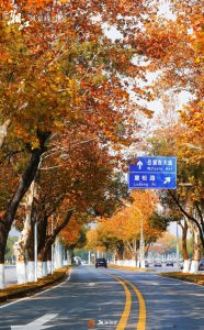 Trại thu Nam Kinh
